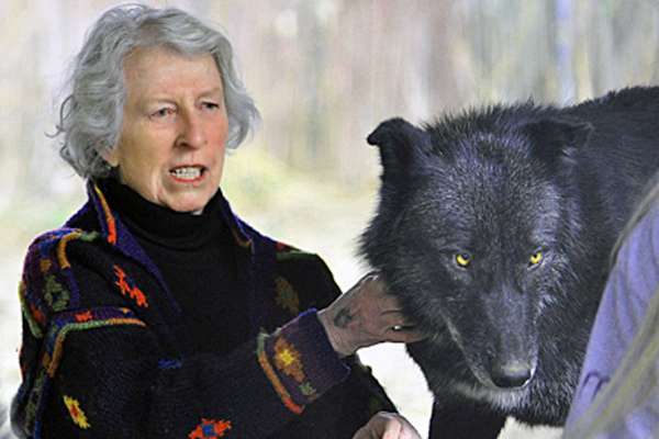 Helen Scratches Her Wolf REALLY Hard.jpg